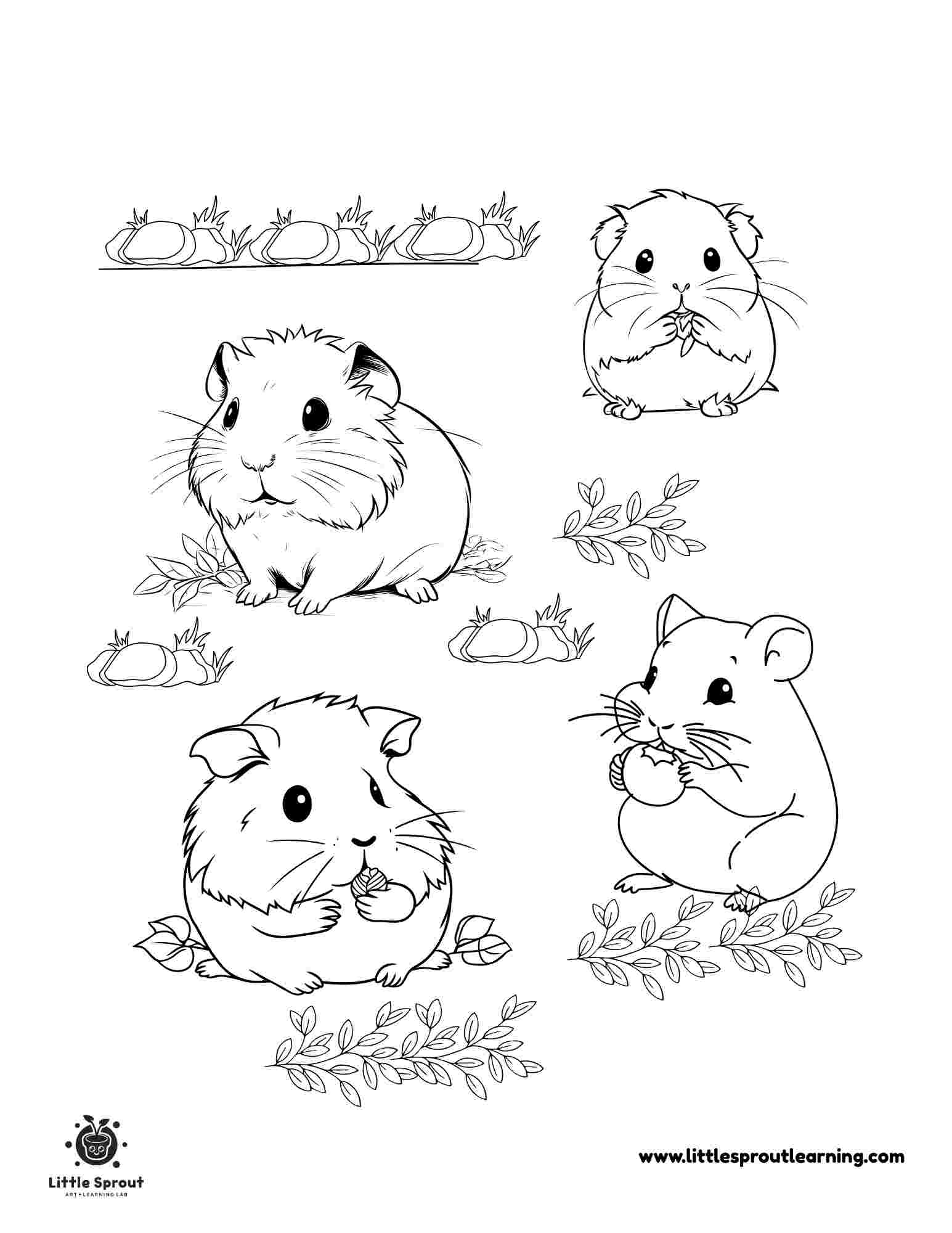 hamster coloring page hamster coloring page