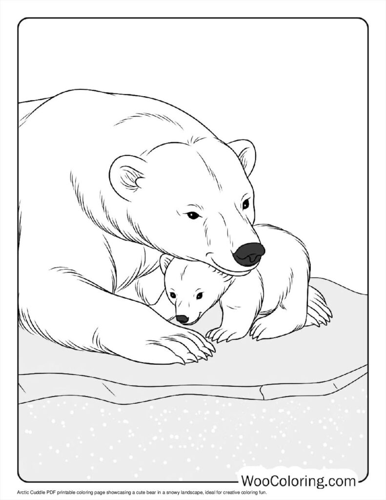 coloring bear pages