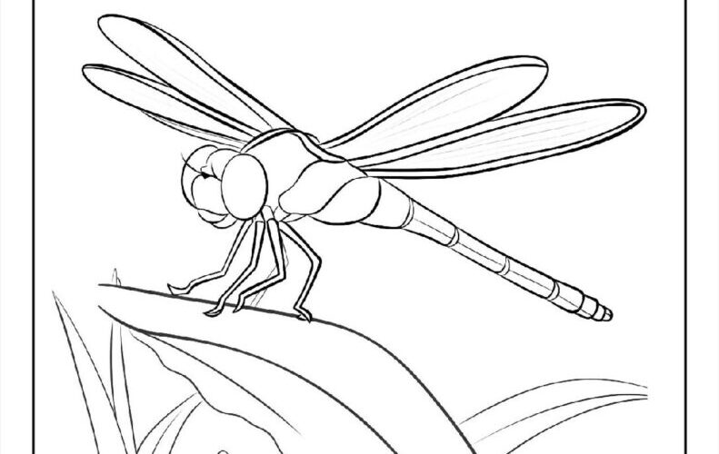 100 Dragonfly Coloring Pages Free PDF To Print Woo Coloring