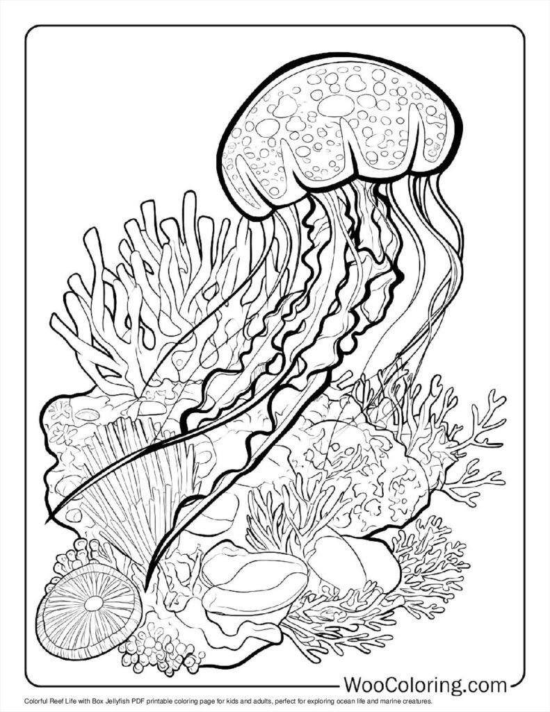 jellyfish coloring page