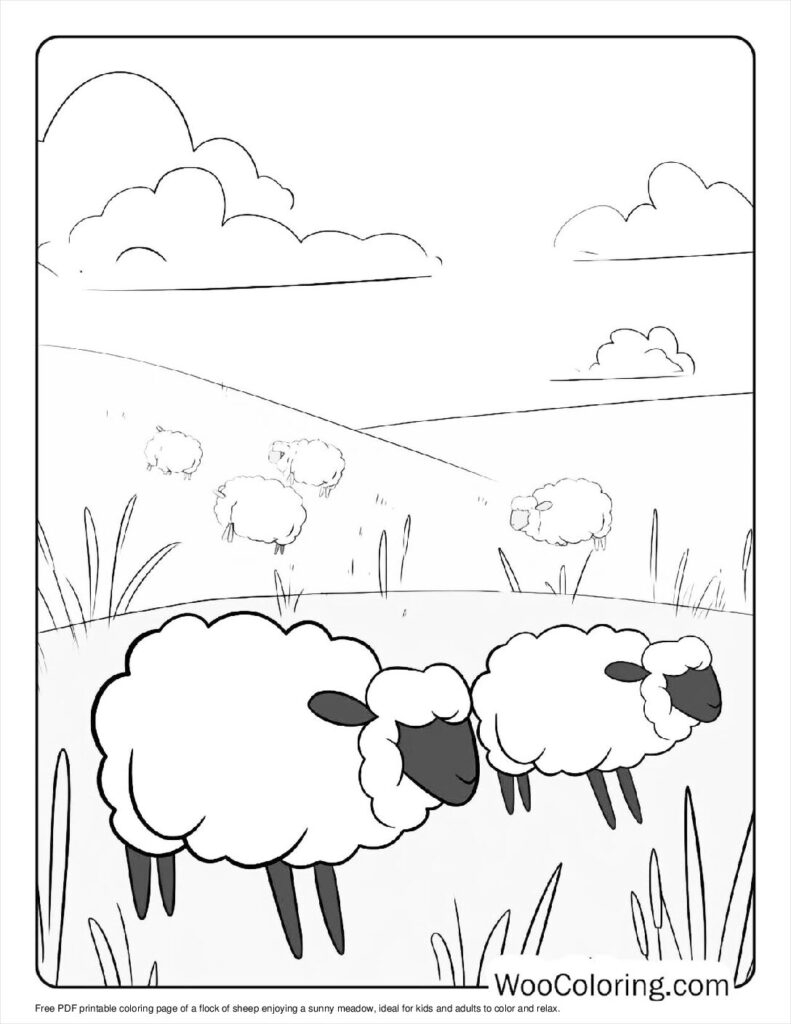 sheep color page