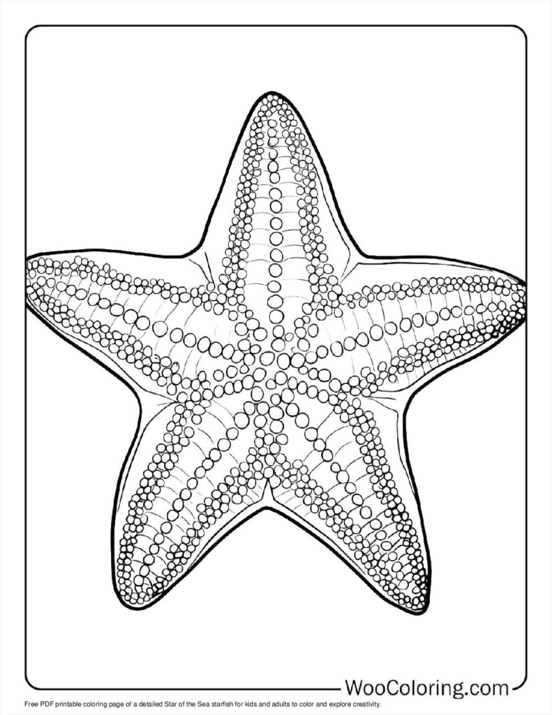 100 Starfish Coloring Pages Free PDF To Print Woo Coloring