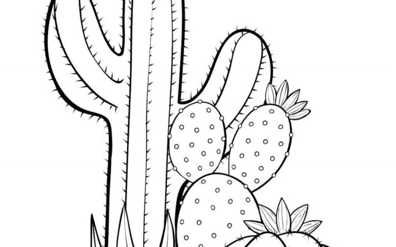 110 PRINTABLE Cactus Coloring Pages Etsy