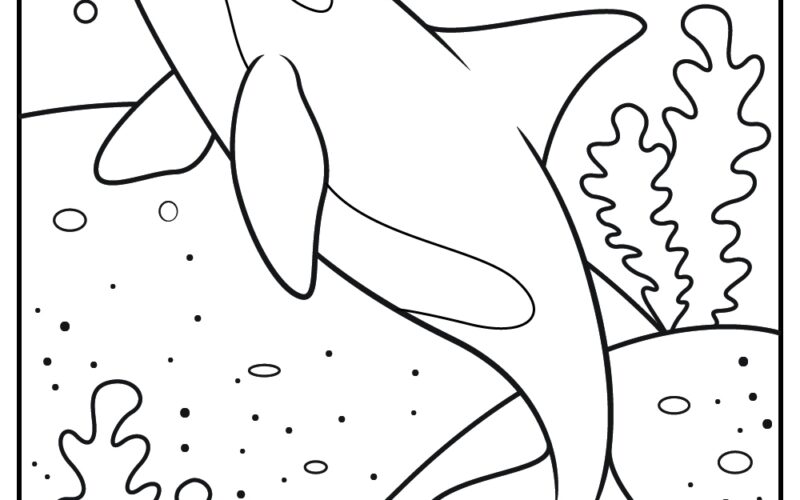 15 Killer Whale Coloring Pages 100 Free Printables