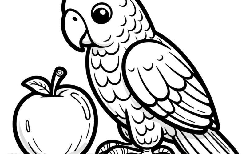 15 Parrot Coloring Pages Cute Parrot Coloring Parrot Bird Bird Coloring Coloring Gift Idea Bird Coloring Pages Exotic Birds Etsy