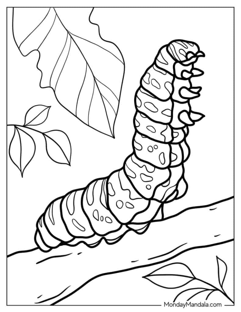 caterpillar coloring page
