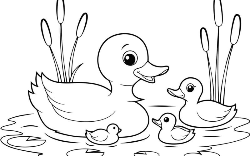 20 Duck Coloring Pages Fun Duck Facts