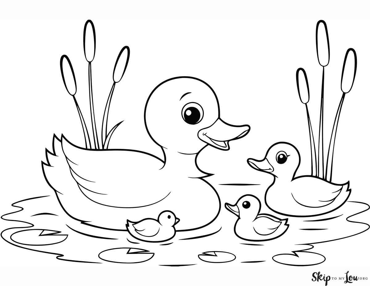 20 Duck Coloring Pages Fun Duck Facts