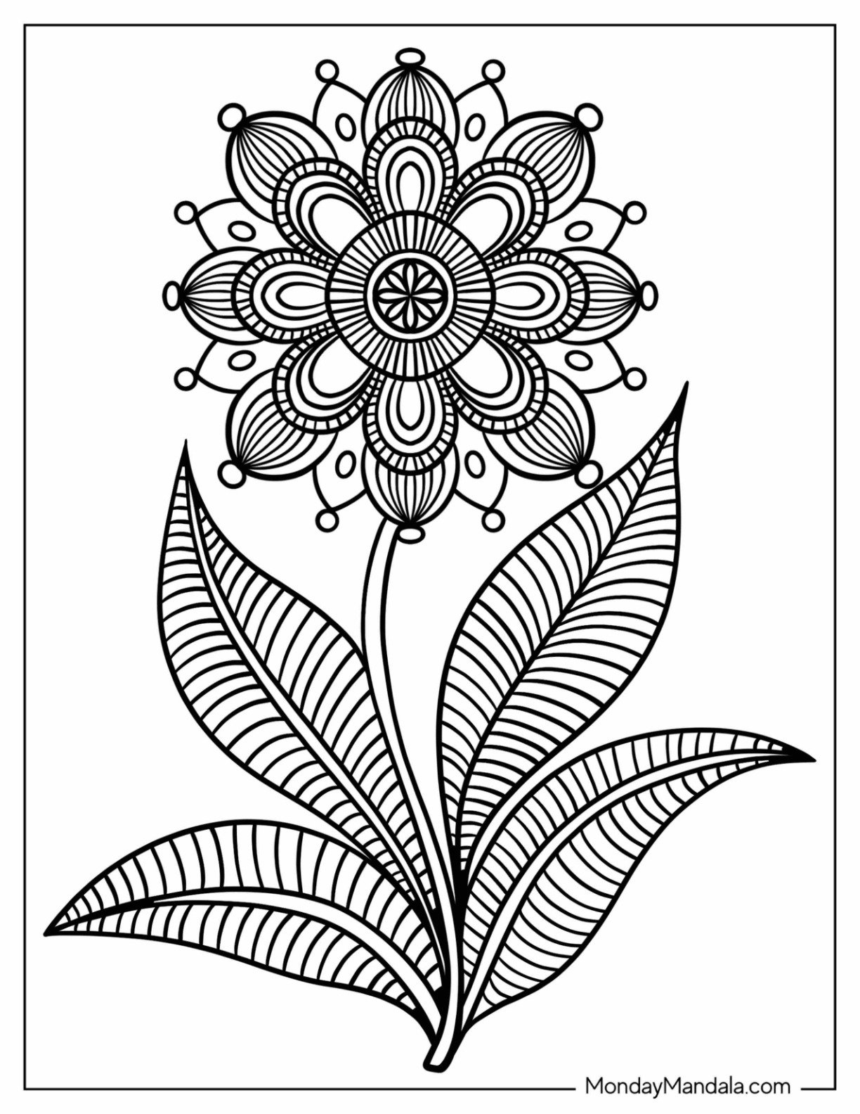 flower mandala coloring pages