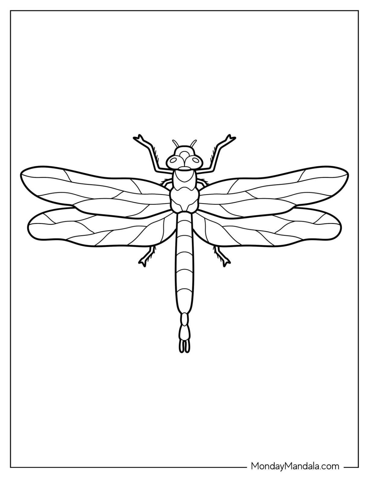 coloring page of a dragonfly