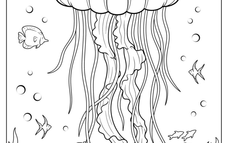 22 Jellyfish Coloring Pages Free PDF Printables