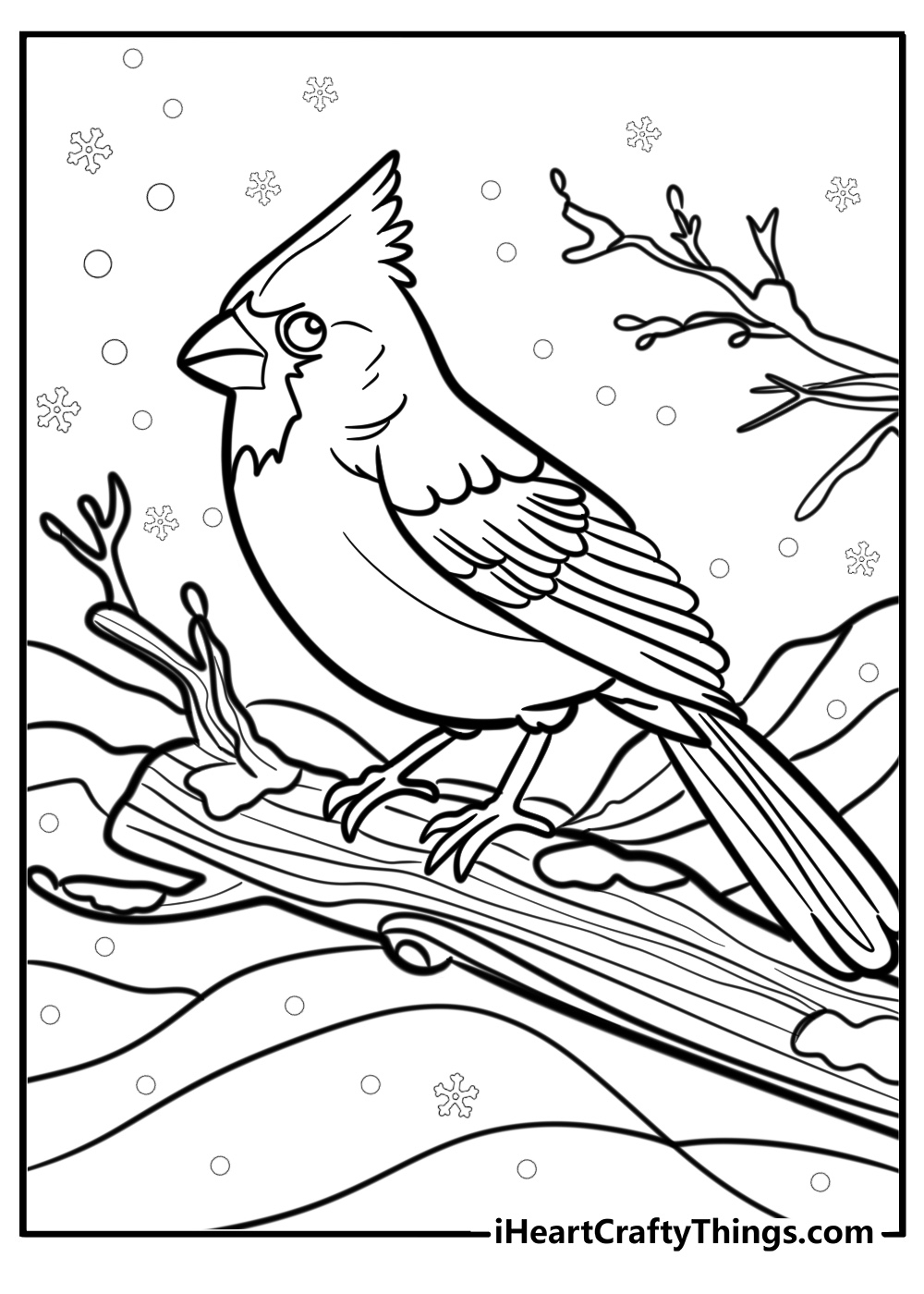 25 New Cardinal Coloring Pages 100 Free To Print 