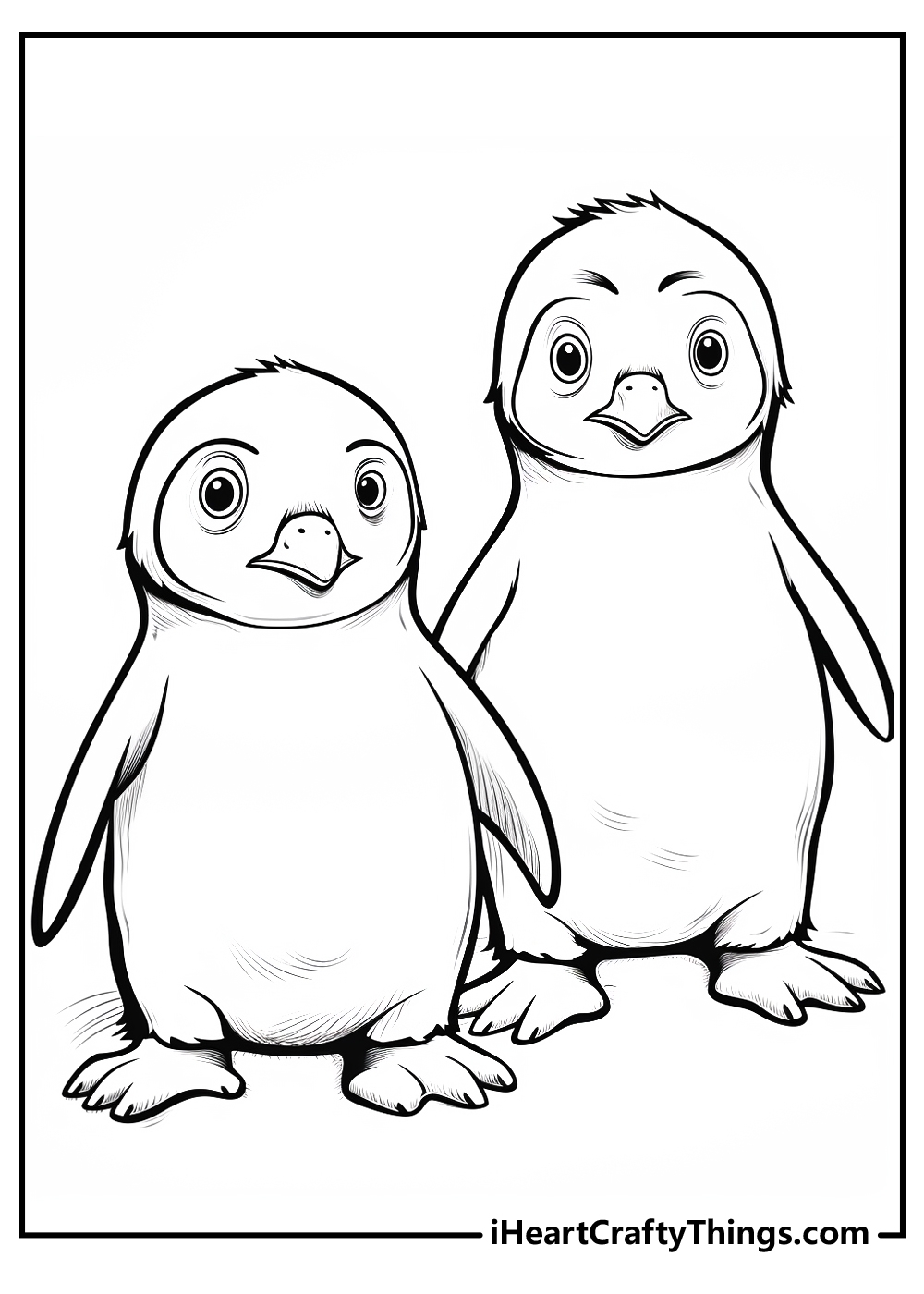 penguin coloring page