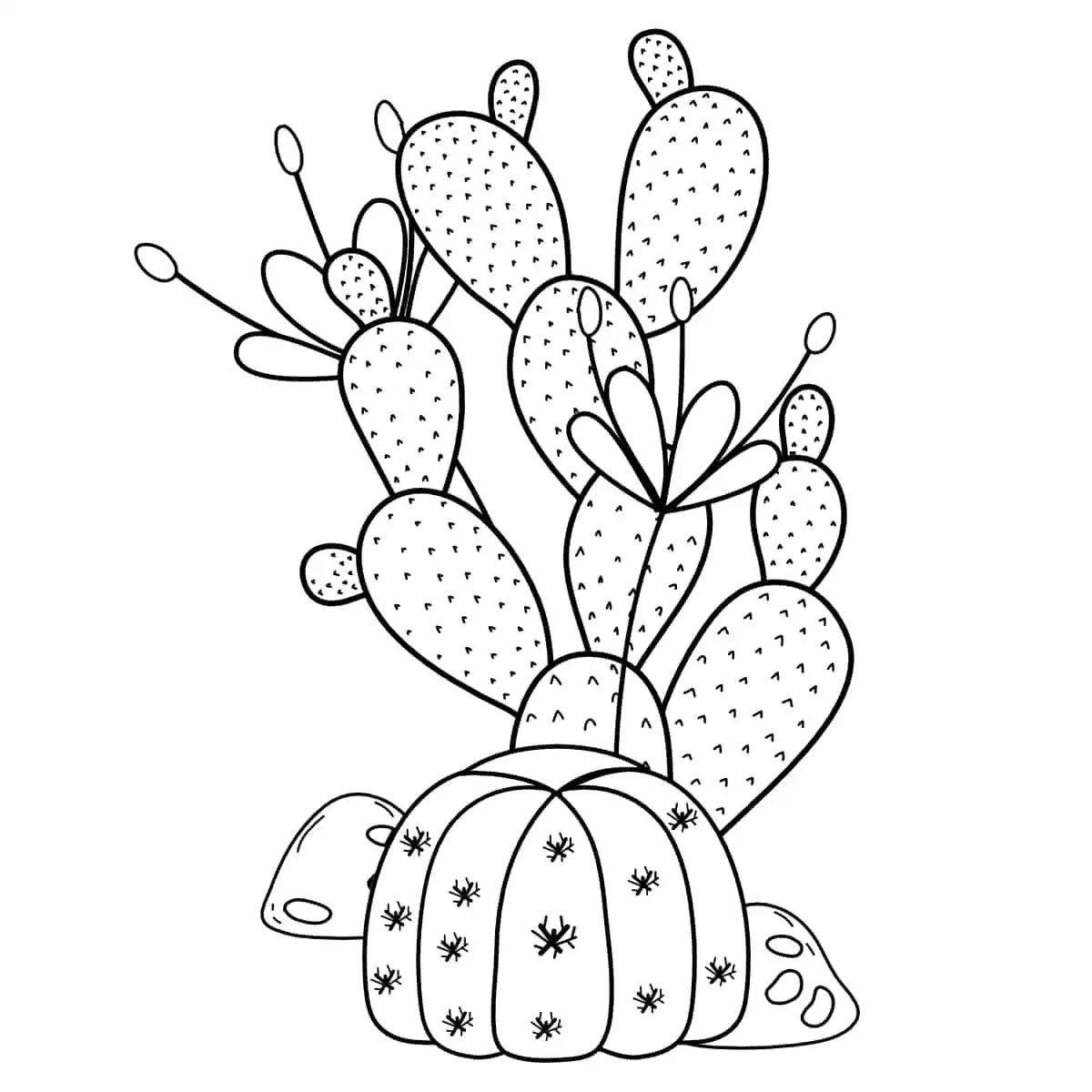 27 Free Cactus Coloring Pages Printable PDFs Artsy Pretty Plants