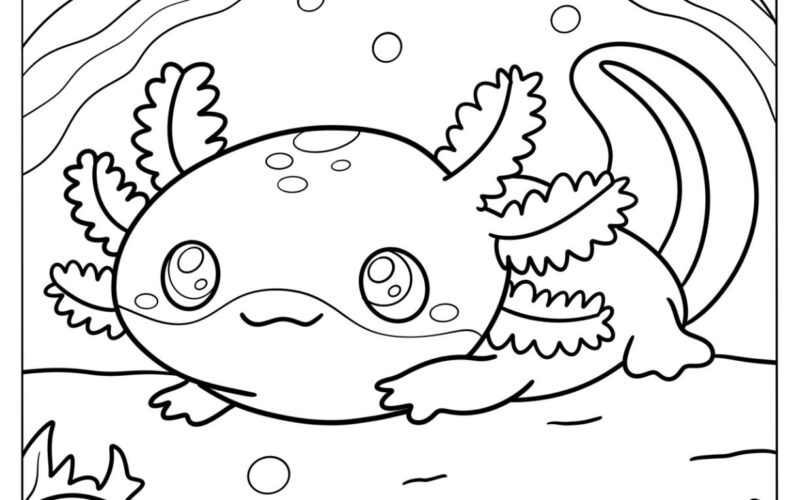 29 Axolotl Coloring Pages Free PDF Printables
