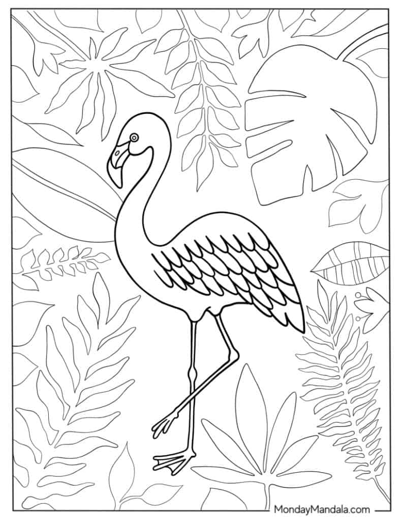 29 Flamingo Coloring Pages Free PDF Printables 