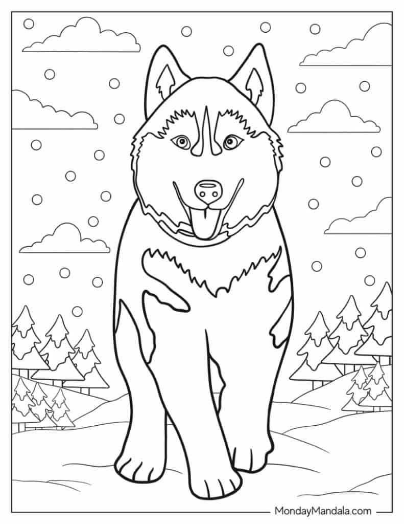 33 Husky Coloring Pages Free PDF Printables 