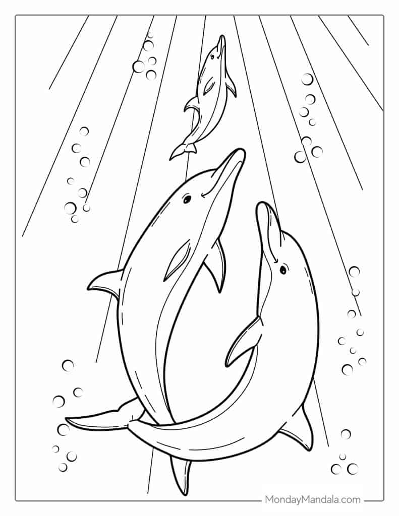34 Dolphin Coloring Pages Free PDF Printables 