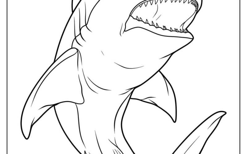 34 Shark Coloring Pages Free PDF Printables