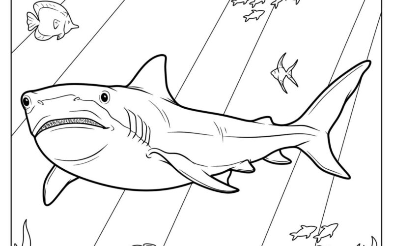 34 Shark Coloring Pages Free PDF Printables