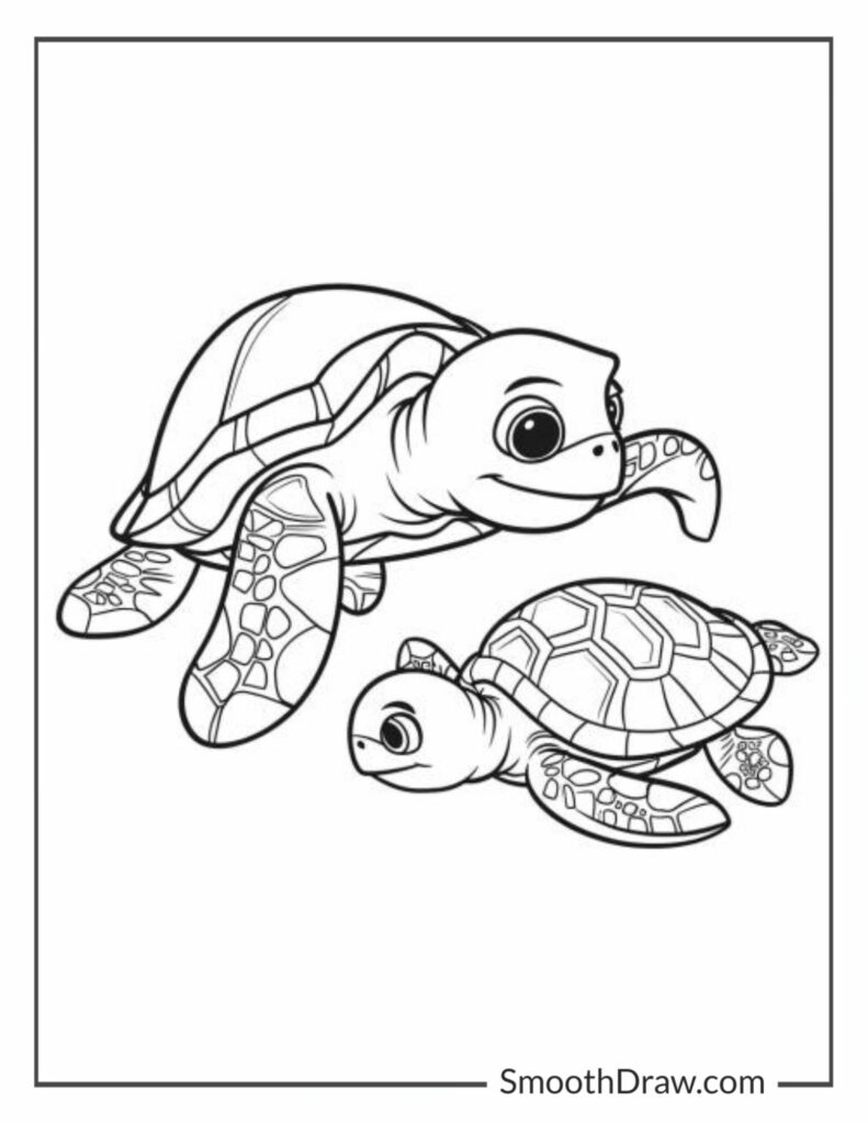 sea turtle color page