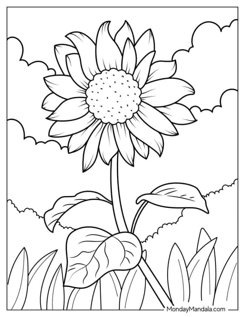 37 Daisy Coloring Pages Free PDF Printables 
