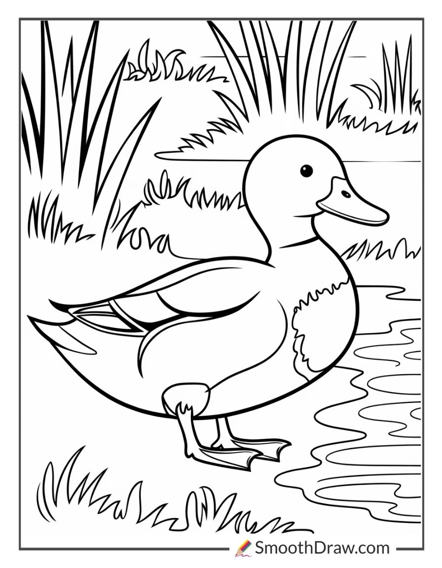 duck coloring page