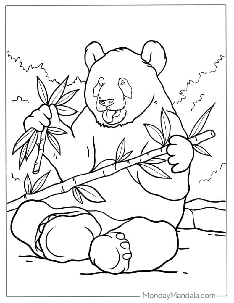 41 Panda Coloring Page Free PDF Printables 