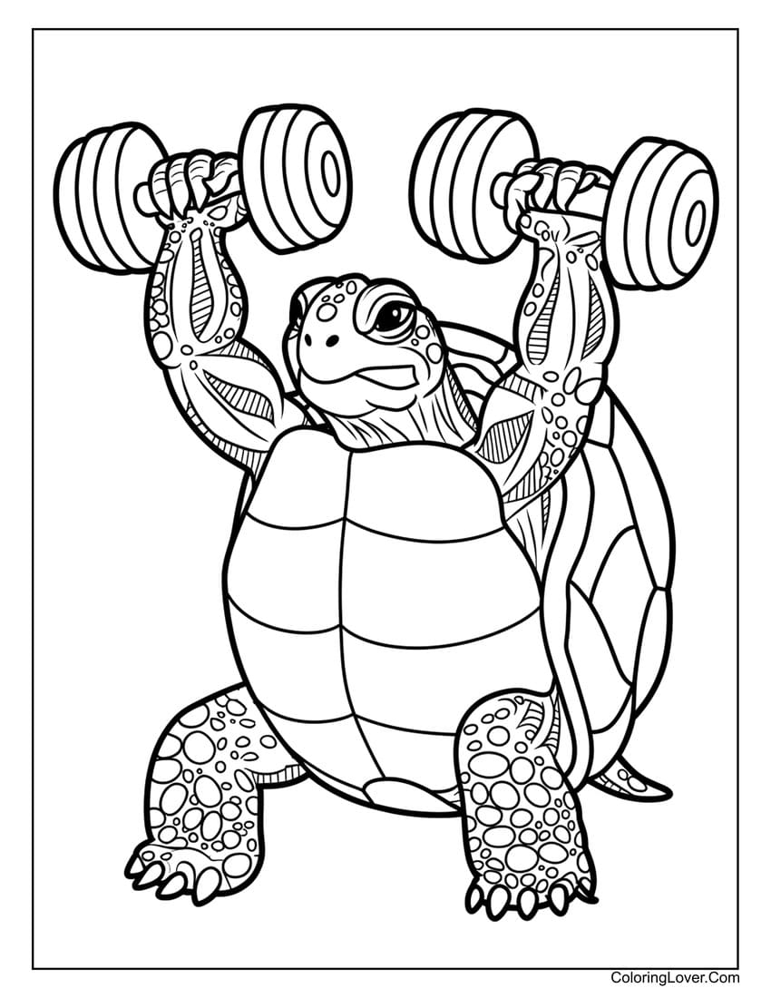turtle coloring page turtle coloring page