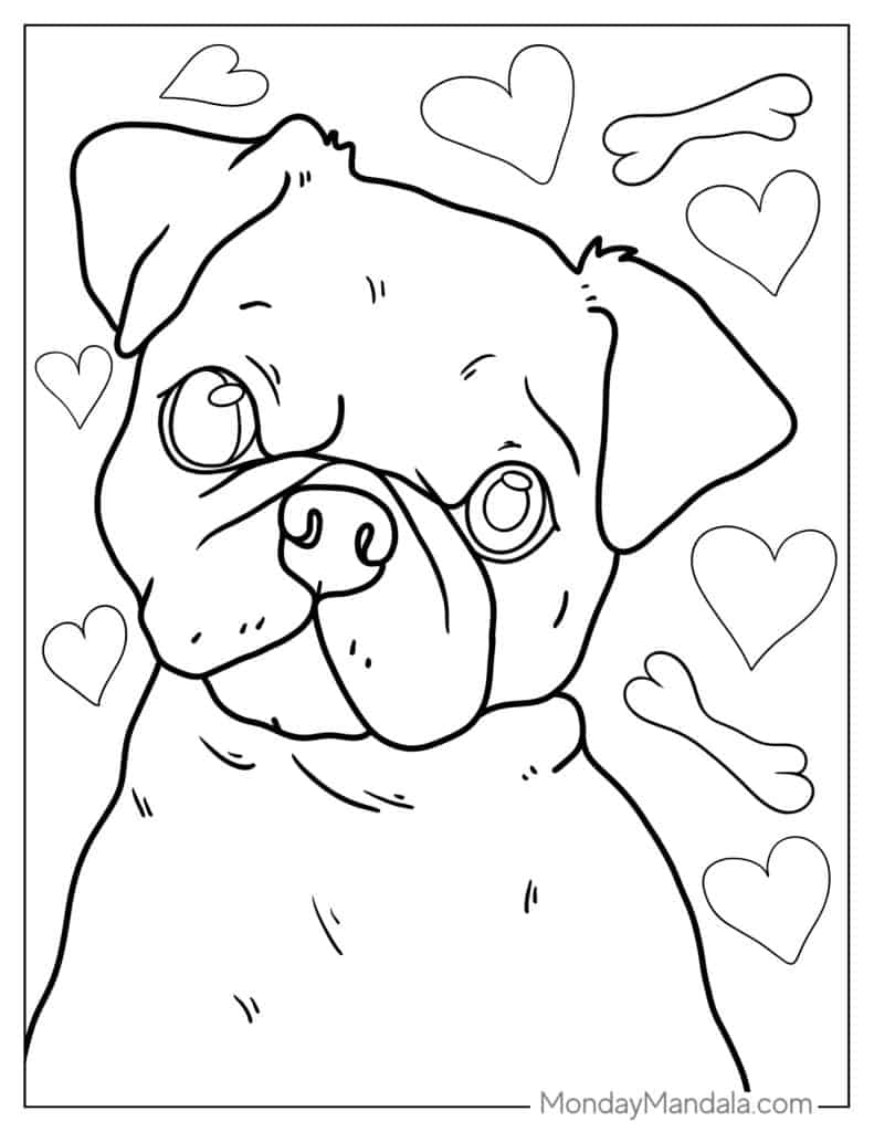 43 Pug Coloring Pages Free PDF Printables 