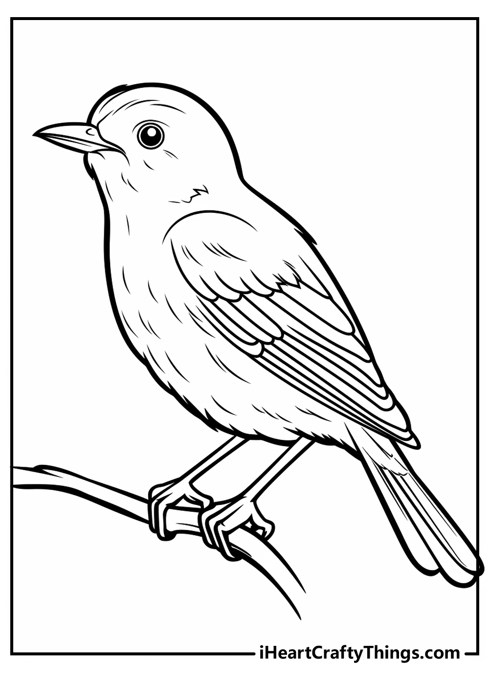 bird coloring pages