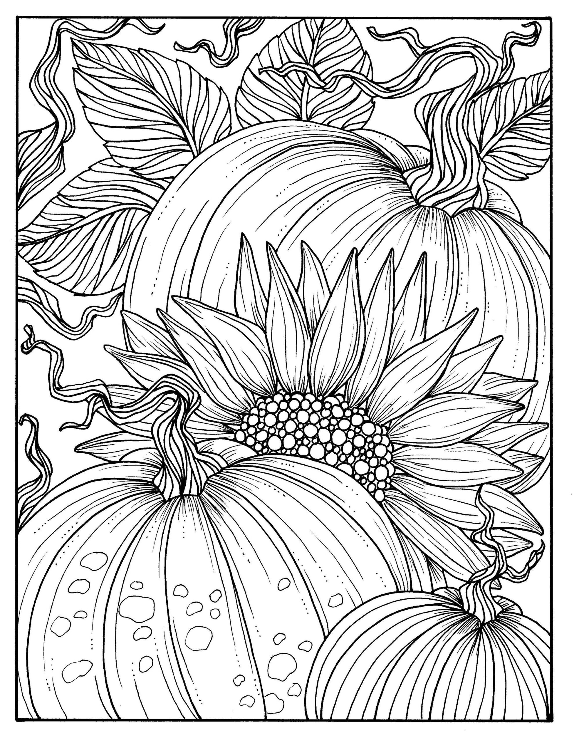 5 Pages Fabulous Fall Digital Downloads To Color Punpkins Crows Sunflowers Gourds Squirrel Thanks Autumn Etsy Israel