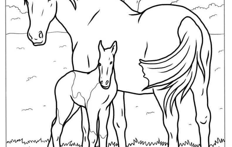 51 Horse Coloring Pages Free PDF Printables