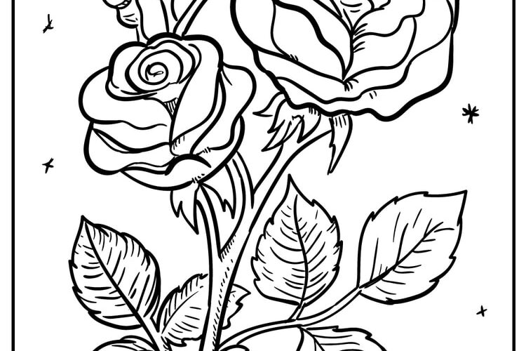 52 Flower Coloring Pages Easy Free Printable PDFs For Kids