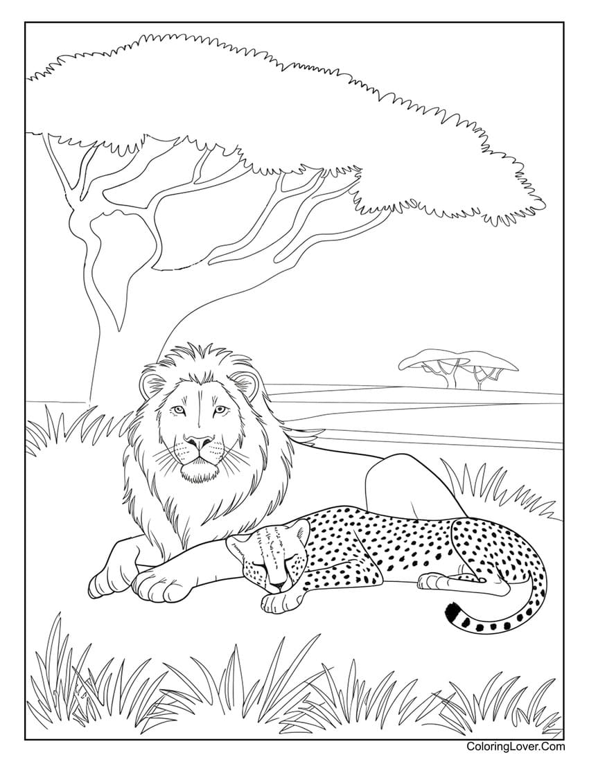 coloring pages of lions