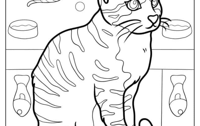 69 Cat Coloring Pages Free PDF Printables