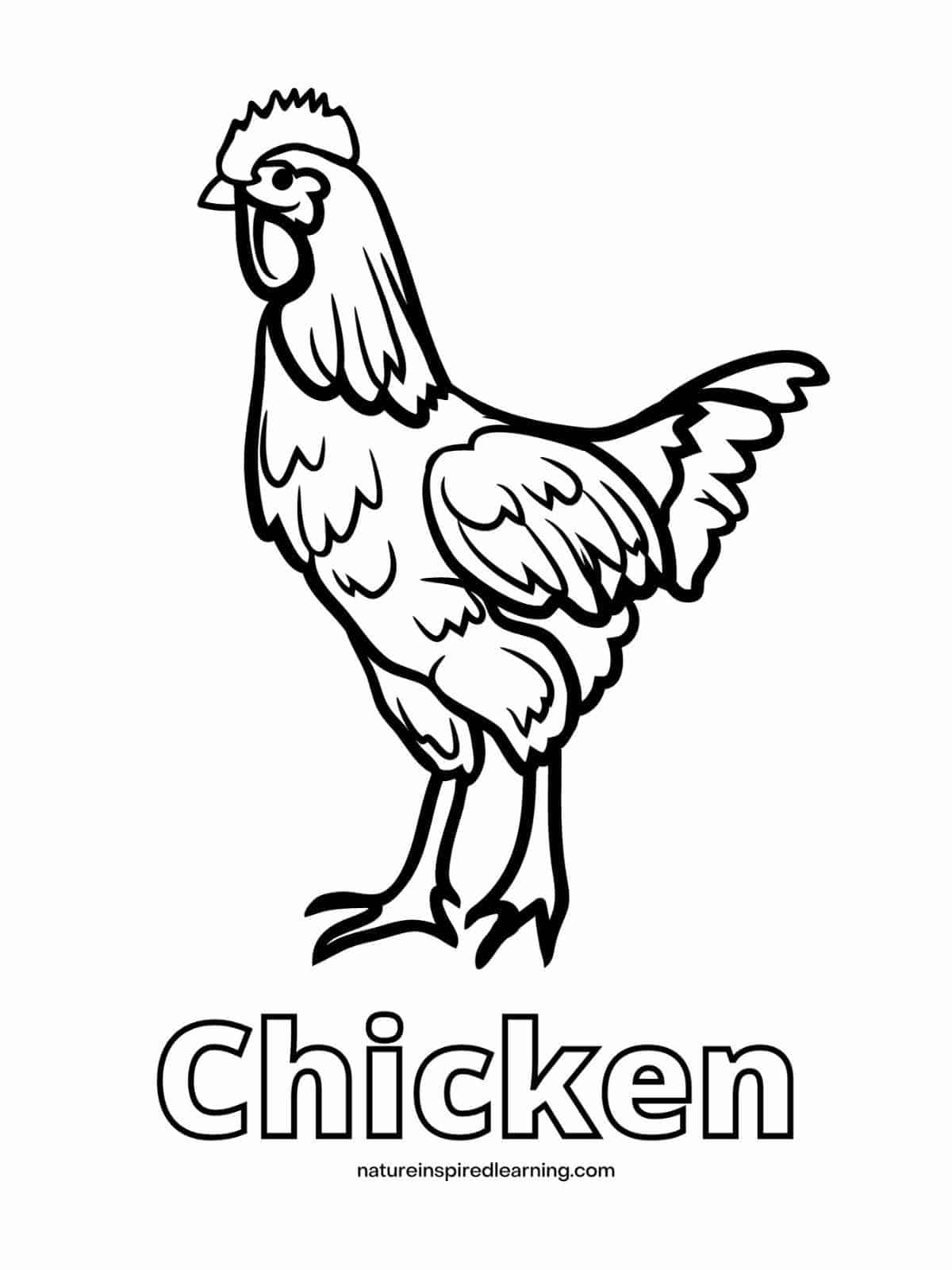 chicken coloring page