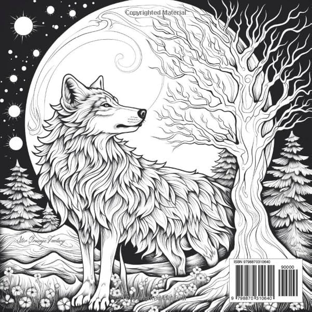 Amazon Wolves Of The Aurora A Fantasy Coloring Book About Wolves 9798870310640 Star Grunge Factory Books
