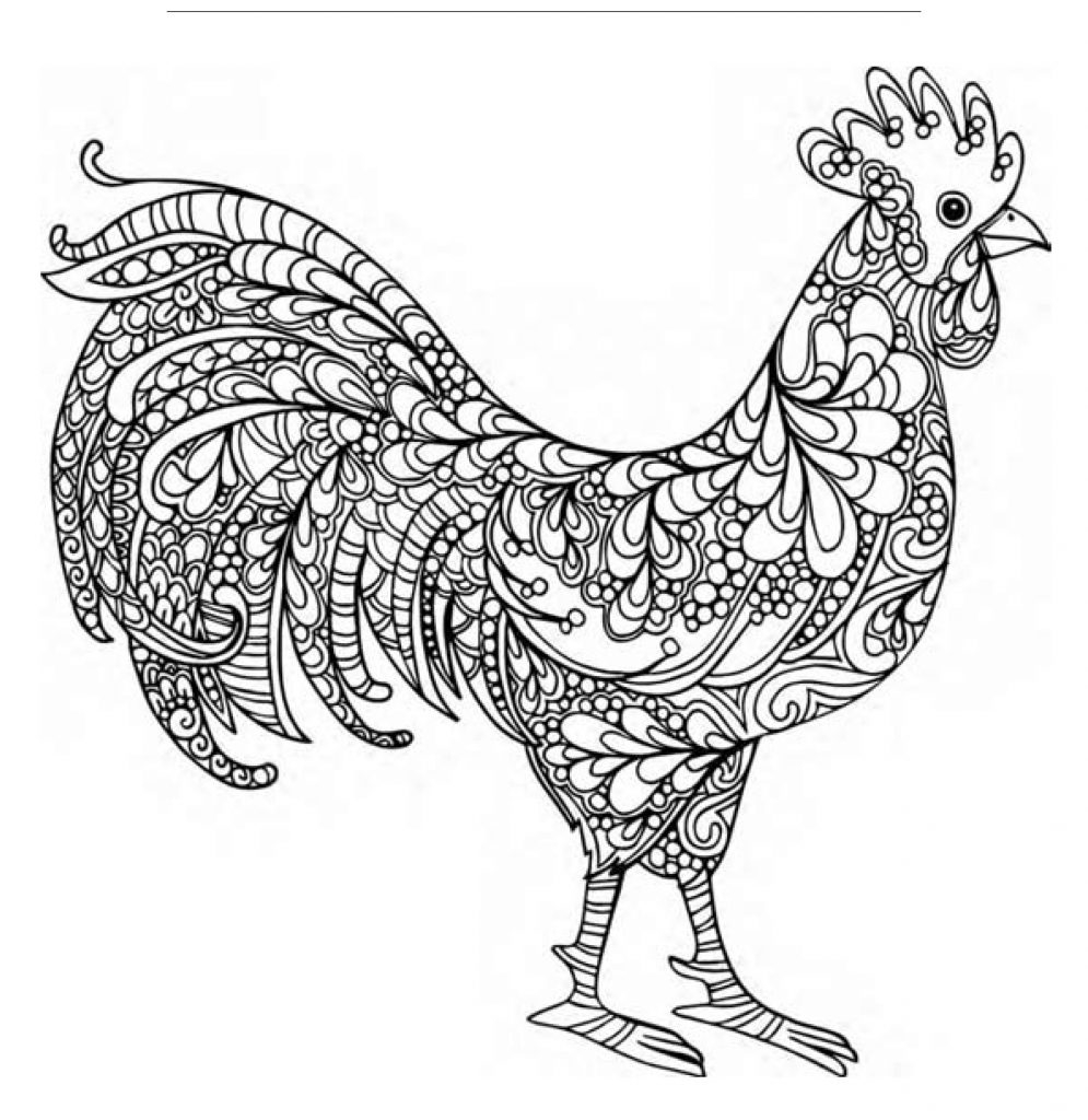 coloring page chicken