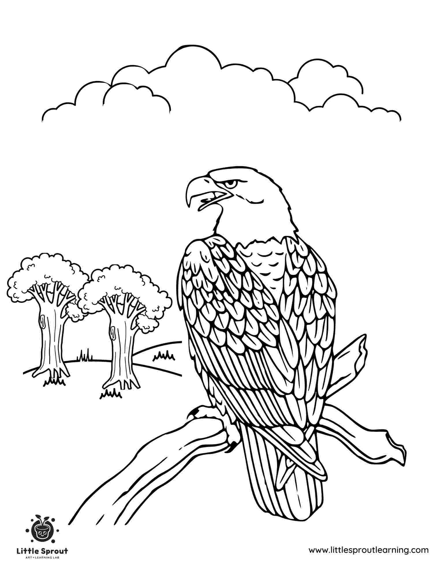 eagle coloring pages