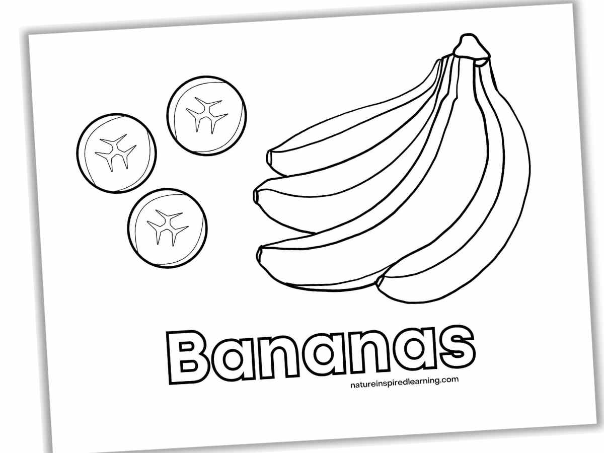 Banana Coloring Pages Nature Inspired Learning Banana Coloring Pages Nature Inspired Learning
