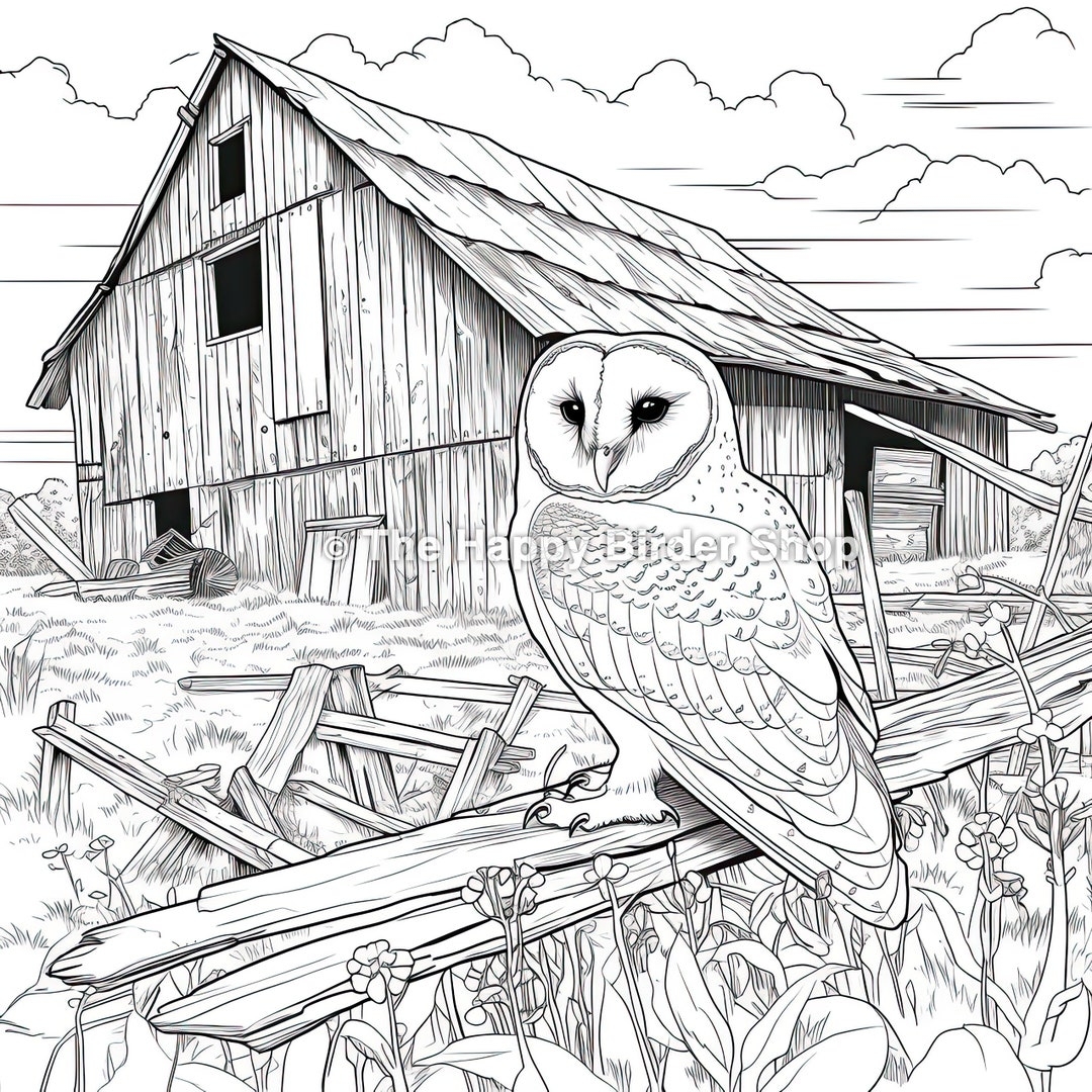 owl coloring page owl coloring page
