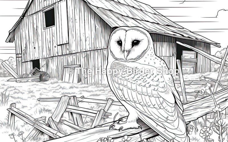 Barn Owl Coloring Book Page Birds Bird Nerd Bird Gifts Fun Bird Gifts Bird Lovers Owls Nature Coloring Book Stress Relief Barn Owls Etsy