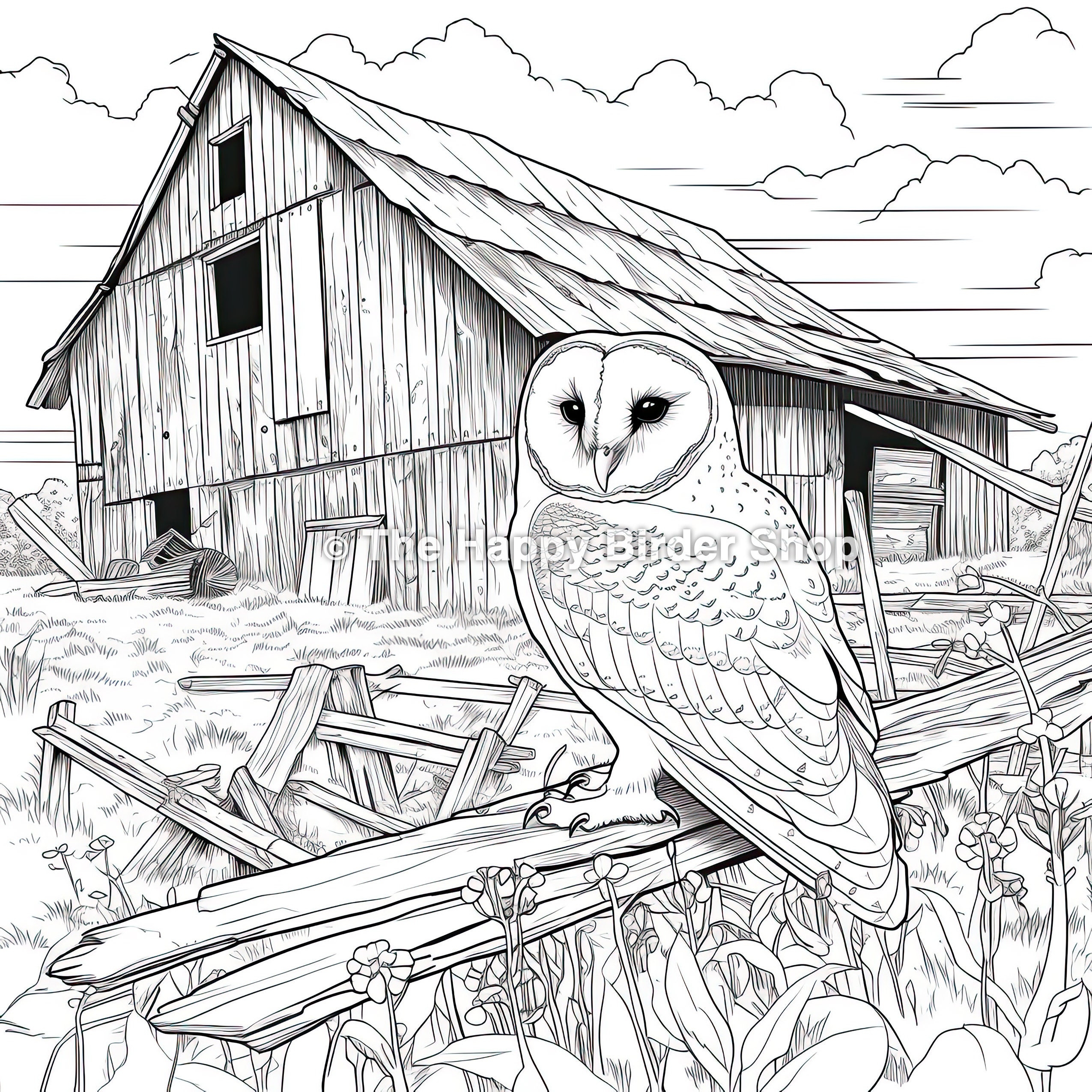 Barn Owl Coloring Book Page Birds Bird Nerd Bird Gifts Fun Bird Gifts Bird Lovers Owls Nature Coloring Book Stress Relief Barn Owls Etsy