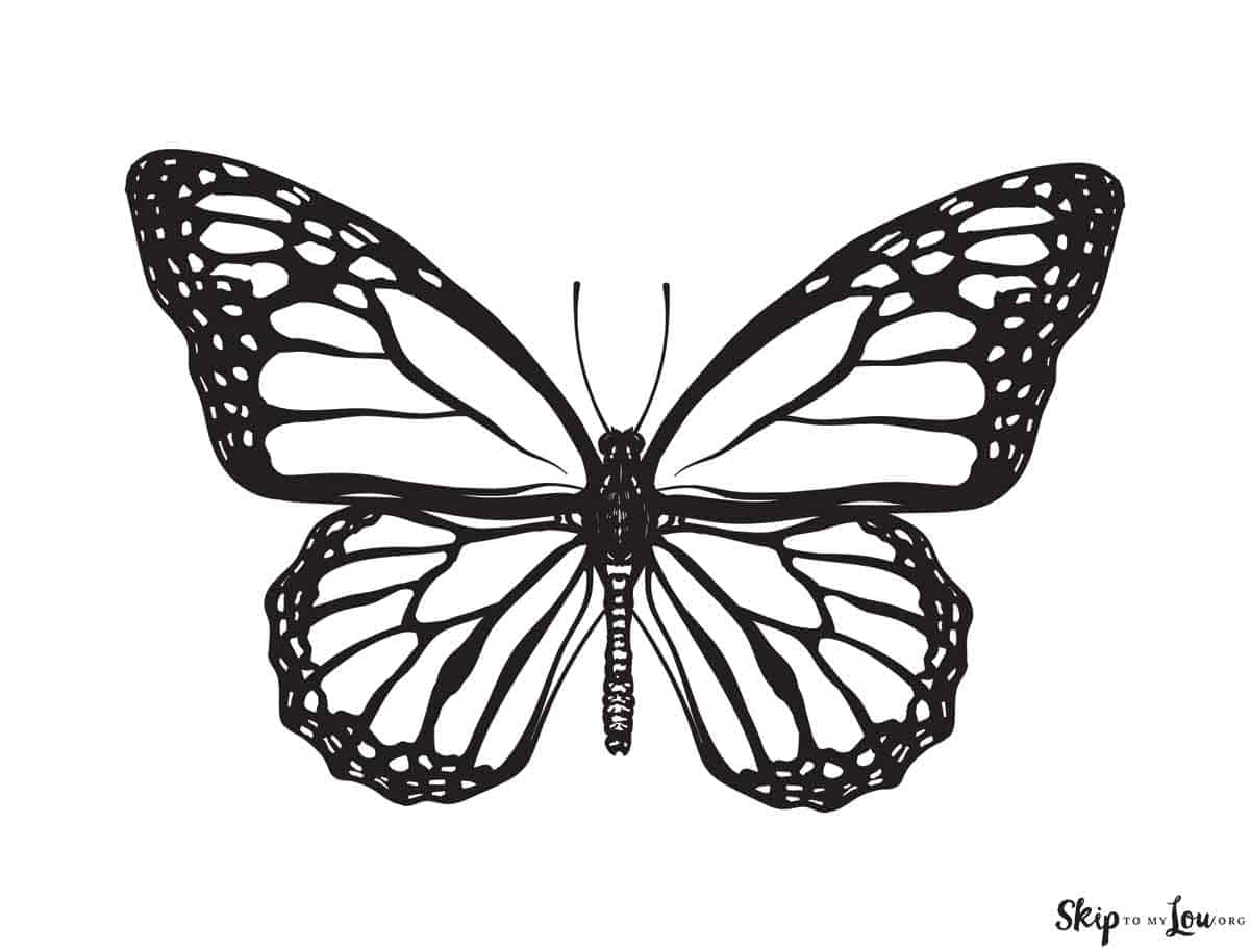butterfly coloring page