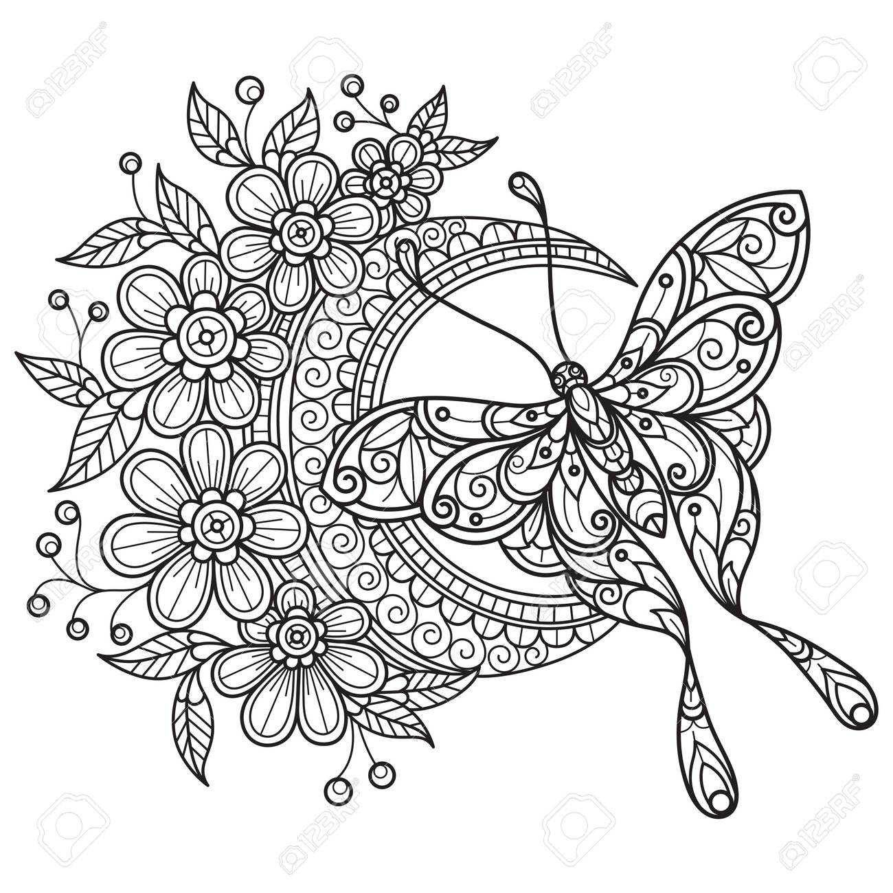 coloring pages butterfly