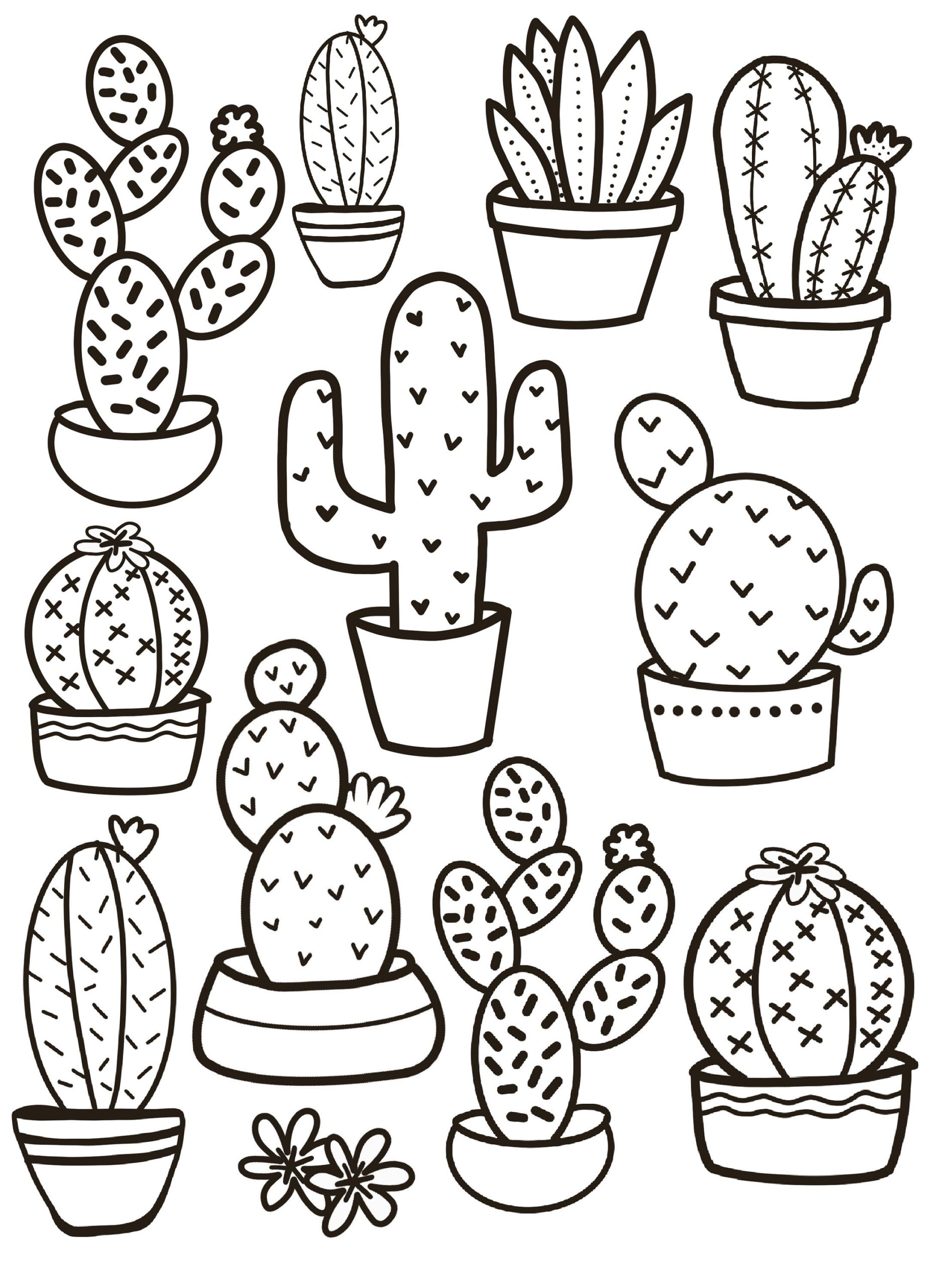 Cactus Coloring Pages Desert Succulents For Adults PDF Download Etsy