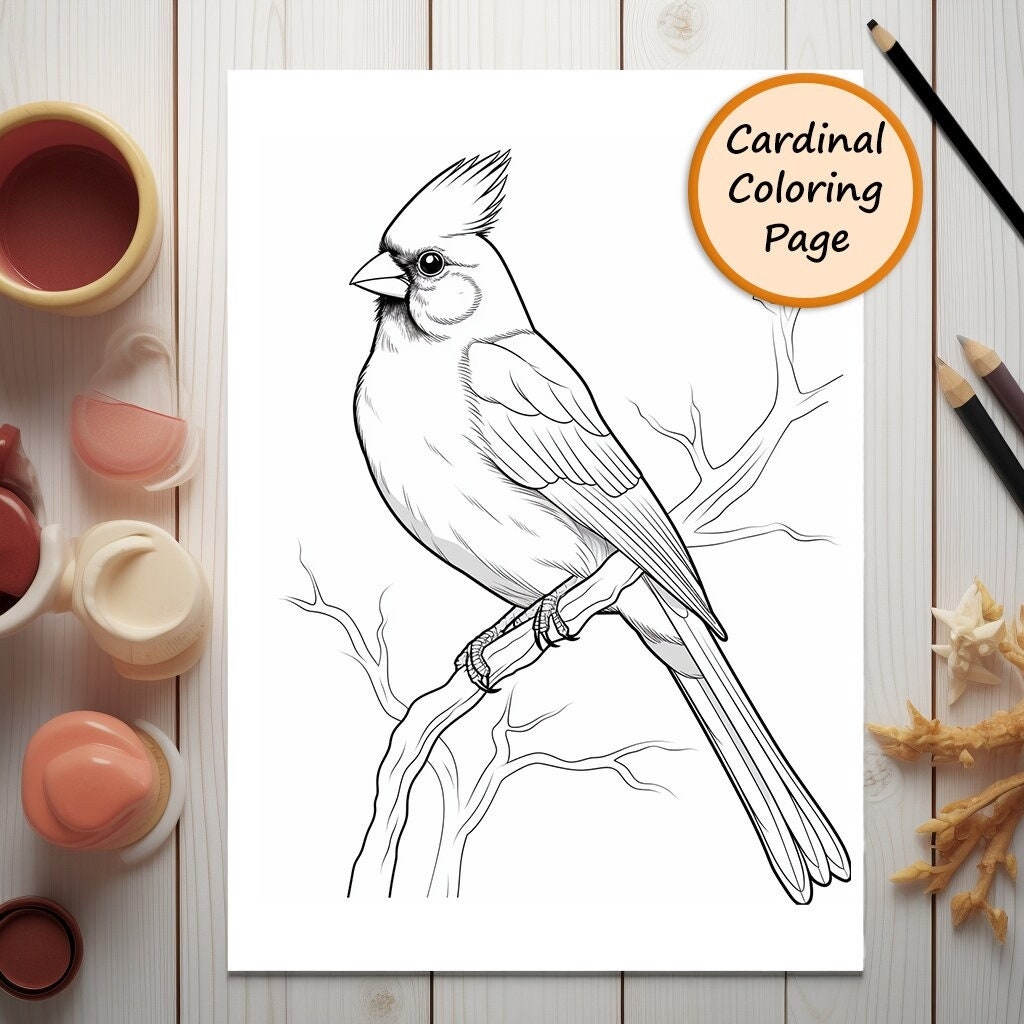 Cardinal Bird Coloring Page Bird Portrait Printable Coloring Page Coloring For Adults And Kids PNG Instant Download Commercial Use Etsy