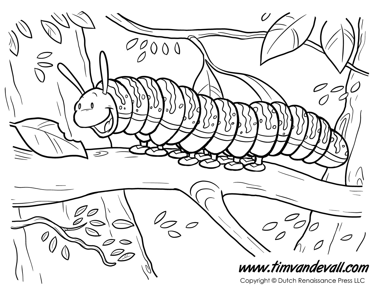 Caterpillar Coloring Page Tim s Printables