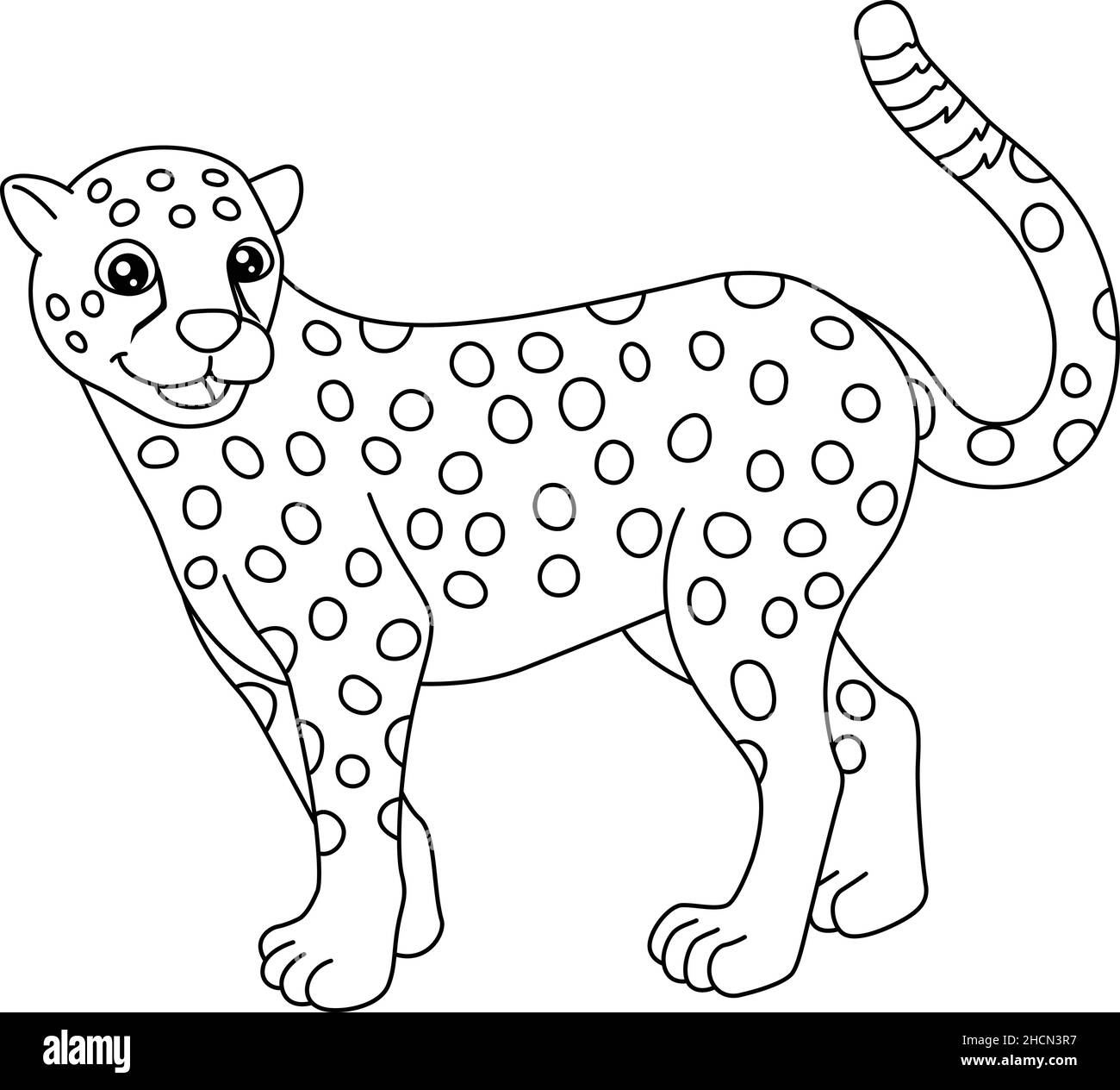 cheetah coloring page cheetah coloring page